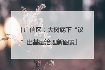 广信区：大树底下“议”出基层治理新图景
